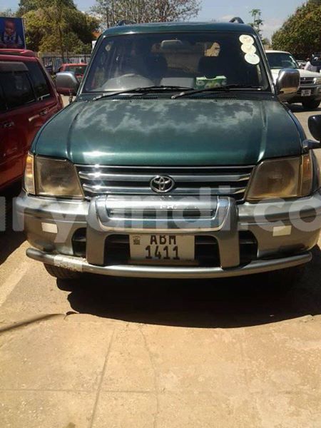 Big with watermark 30623955 578122035882356 6857030771144654848 n