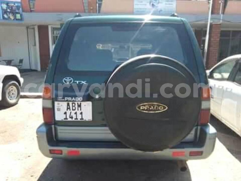 Big with watermark 30629329 194112211393369 244064733525704704 n