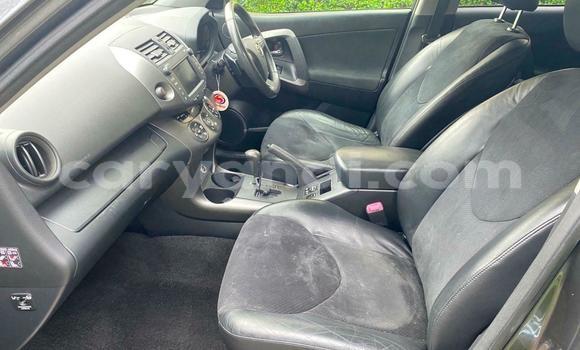 Buy Used Toyota RAV4 Beige Car in Chipata in Zambia Buy Used Toyota RAV4 Beige Car in Chipata in Zambia