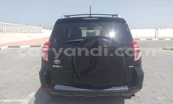 Buy Import Toyota RAV4 Black Car in Chipata in Zambia Buy Import Toyota RAV4 Black Car in Chipata in Zambia