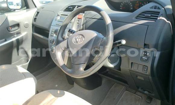 Tenga Tsaru Toyota 4Runner Sirivha Mota in Chingola in Zambia Tenga Tsaru Toyota 4Runner Sirivha Mota in Chingola in Zambia