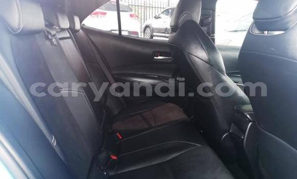 Buy Used Toyota Corolla Blue Car in Chingola in Zambia Buy Used Toyota Corolla Blue Car in Chingola in Zambia