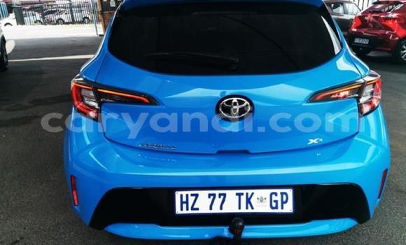Buy Used Toyota Corolla Blue Car in Chingola in Zambia Buy Used Toyota Corolla Blue Car in Chingola in Zambia