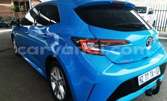 Buy Used Toyota Corolla Blue Car in Chingola in Zambia Buy Used Toyota Corolla Blue Car in Chingola in Zambia