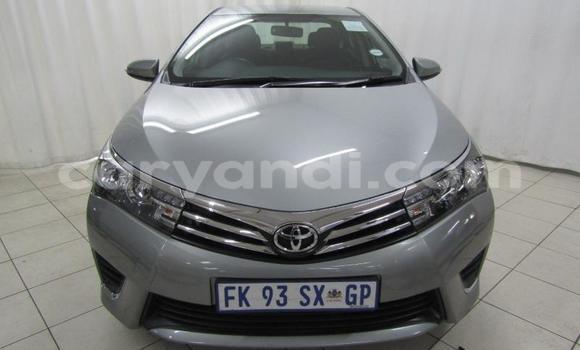 Buy Used Toyota Corolla White Car in Chipata in Zambia