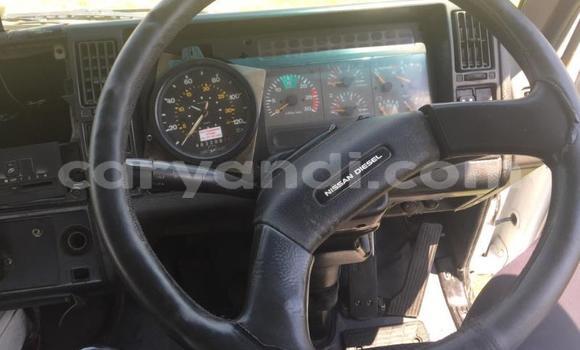 Acheter Occasion Utilitaire Nissan UD Blanc à Choma, Du sud Acheter Occasion Utilitaire Nissan UD Blanc à Choma, Du sud