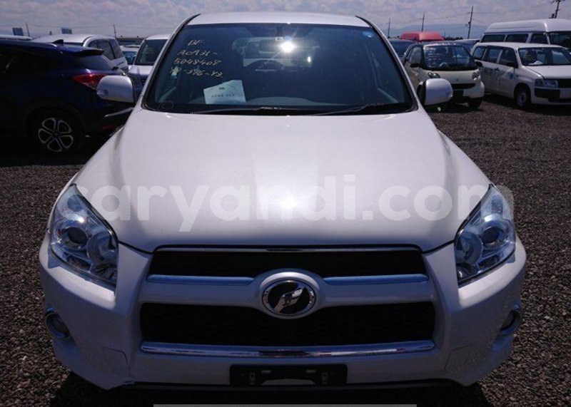 Big with watermark 8