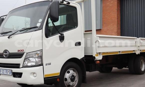 Tenga Tsaru Hino 300 Series Chena Rori in Lusaka in Zambia