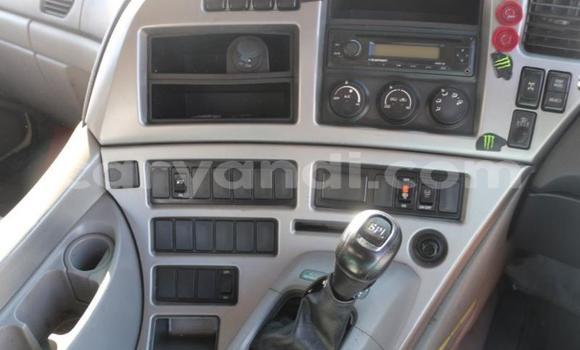 Tenga Tsaru Nissan UD Chena Rori in Livingstone in Zambia Tenga Tsaru Nissan UD Chena Rori in Livingstone in Zambia