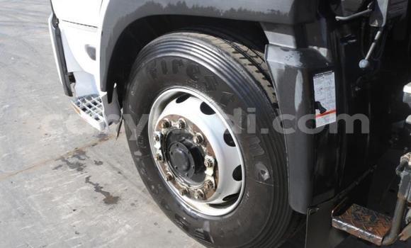 Tenga Tsaru Nissan UD Chena Rori in Livingstone in Zambia Tenga Tsaru Nissan UD Chena Rori in Livingstone in Zambia