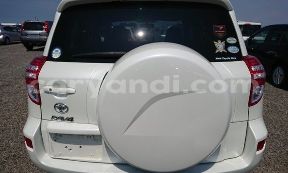 Tenga Tsaru Toyota RAV4 Chena Mota in Lusaka in Zambia Tenga Tsaru Toyota RAV4 Chena Mota in Lusaka in Zambia