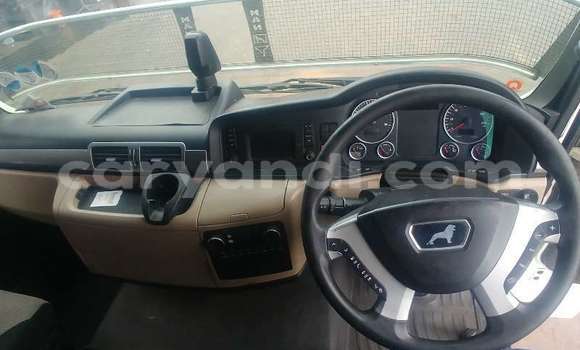 Tenga Tsaru Man TGX Chena Rori in Livingstone in Zambia Tenga Tsaru Man TGX Chena Rori in Livingstone in Zambia