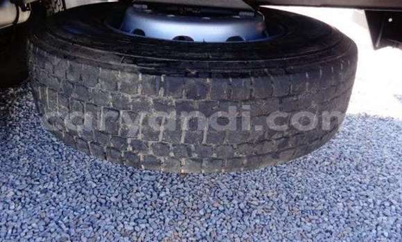 Tenga Tsaru Nissan UD Chena Rori in Lusaka in Zambia Tenga Tsaru Nissan UD Chena Rori in Lusaka in Zambia