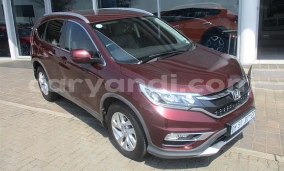 Buy Used Honda CR–V Other Car in Livingstone in Zambia