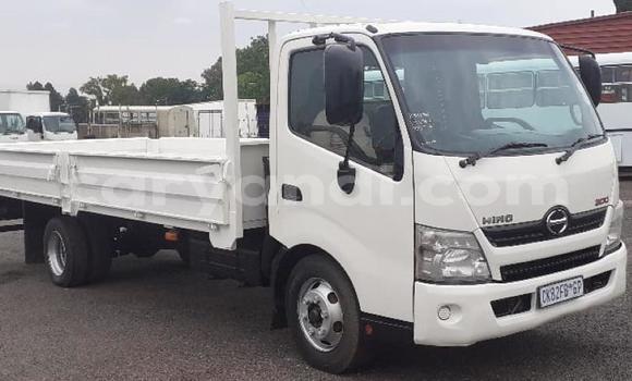 Buy Used Hino 300 Series White Truck in Choma in Southern