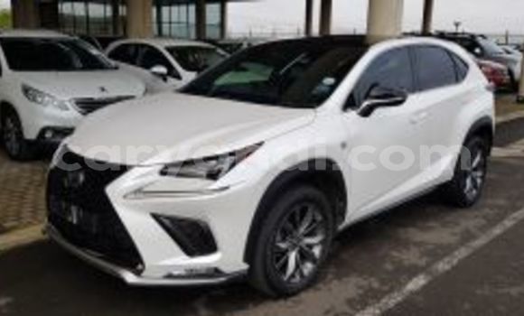 Buy Used Lexus NX White Car in Lusaka in Zambia Buy Used Lexus NX White Car in Lusaka in Zambia