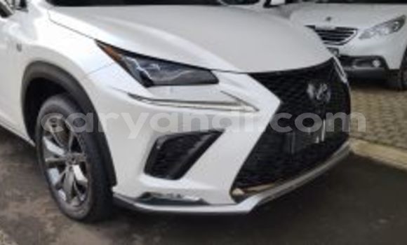 Buy Used Lexus NX White Car in Lusaka in Zambia Buy Used Lexus NX White Car in Lusaka in Zambia