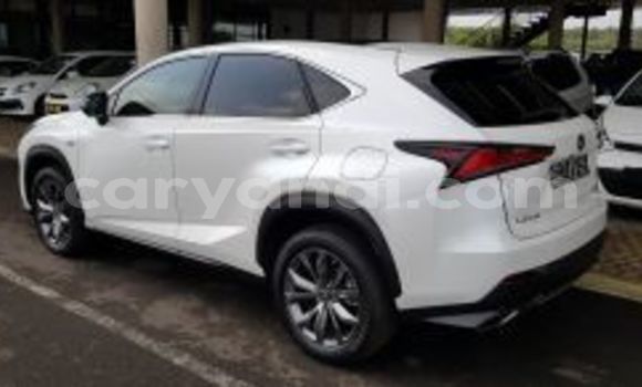 Buy Used Lexus NX White Car in Lusaka in Zambia Buy Used Lexus NX White Car in Lusaka in Zambia