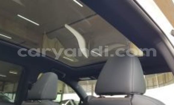 Buy Used Lexus NX White Car in Lusaka in Zambia Buy Used Lexus NX White Car in Lusaka in Zambia