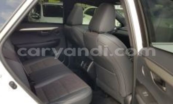 Buy Used Lexus NX White Car in Lusaka in Zambia Buy Used Lexus NX White Car in Lusaka in Zambia