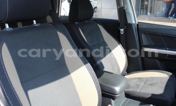 Tenga Tsaru Suzuki Grand Vitara Chena Mota in Livingstone in Zambia Tenga Tsaru Suzuki Grand Vitara Chena Mota in Livingstone in Zambia