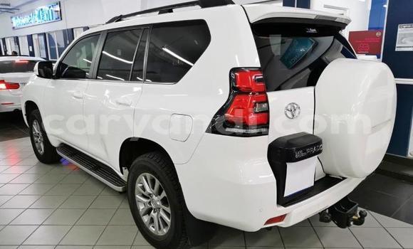 Acheter Occasion Voiture Toyota Land Cruiser Prado Blanc à Livingstone, Zambie Acheter Occasion Voiture Toyota Land Cruiser Prado Blanc à Livingstone, Zambie