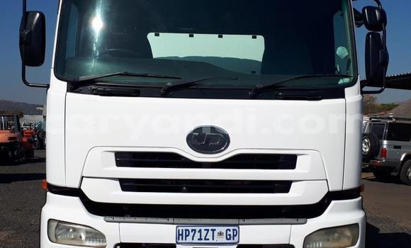 Acheter Occasion Utilitaire Nissan UD Blanc à Chinsali, Nord