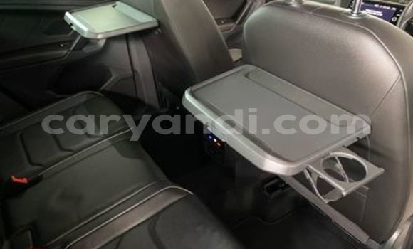 Tenga Tsaru Volkswagen Tiguan Sirivha Mota in Livingstone in Zambia Tenga Tsaru Volkswagen Tiguan Sirivha Mota in Livingstone in Zambia