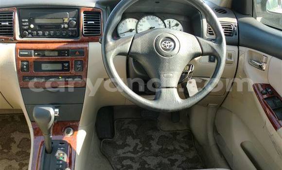 Tenga Tsaru Toyota Runx Sirivha Mota in Chingola in Zambia Tenga Tsaru Toyota Runx Sirivha Mota in Chingola in Zambia