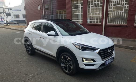 Buy Used Hyundai Tucson White Car in Livingstone in Zambia Buy Used Hyundai Tucson White Car in Livingstone in Zambia