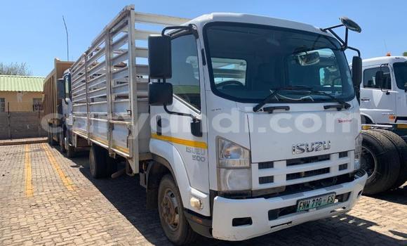 Buy Used Isuzu FTR 850 White Truck in Lusaka in Zambia Buy Used Isuzu FTR 850 White Truck in Lusaka in Zambia