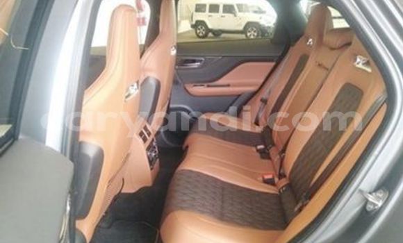 Tenga Tsaru Jaguar F-Pace Sirivha Mota in Lusaka in Zambia Tenga Tsaru Jaguar F-Pace Sirivha Mota in Lusaka in Zambia