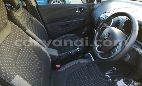 Tenga Tsaru Renault Captur Sirivha Mota in Zambezi in North-Western Tenga Tsaru Renault Captur Sirivha Mota in Zambezi in North-Western