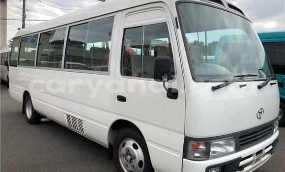 Buy Used Toyota Coaster White Car in Chambishi in Copperbelt Buy Used Toyota Coaster White Car in Chambishi in Copperbelt