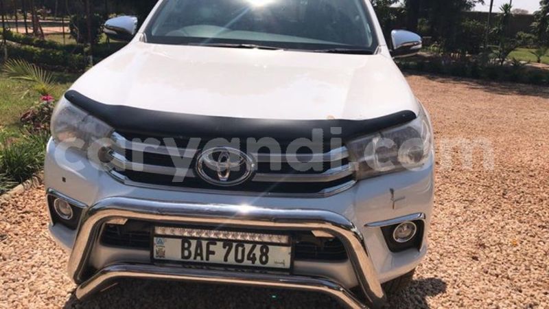 Big with watermark 30623955 578122035882356 6857030771144654848 n