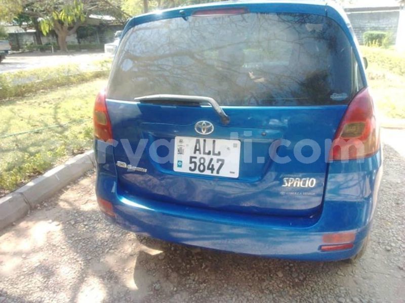 Big with watermark 30629329 194112211393369 244064733525704704 n