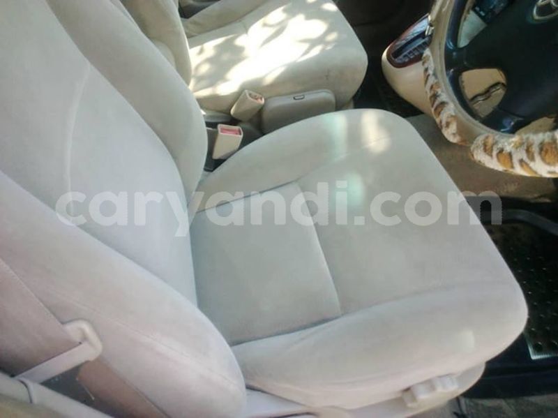 Big with watermark 30705011 1080215435450894 1812932972978896896 n