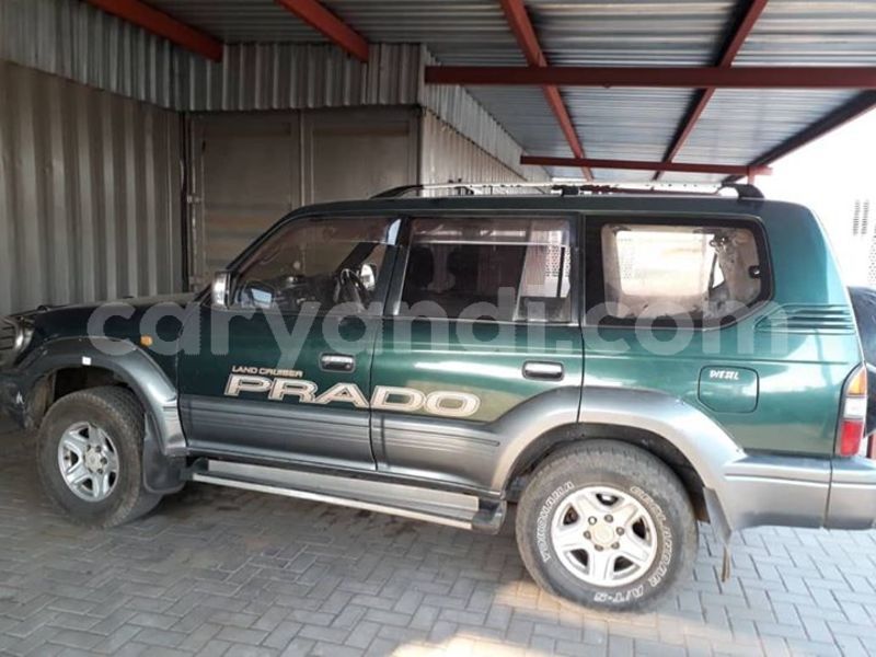 Big with watermark 30623955 578122035882356 6857030771144654848 n