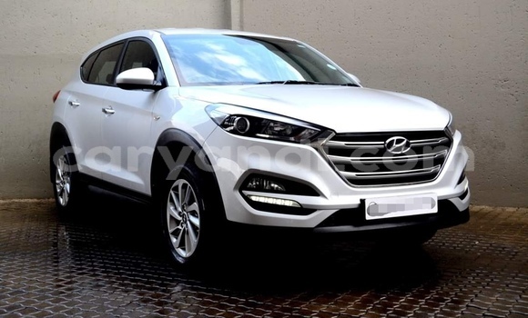 Buy Used Hyundai Tucson Silver Car in Livingstone in Zambia Buy Used Hyundai Tucson Silver Car in Livingstone in Zambia