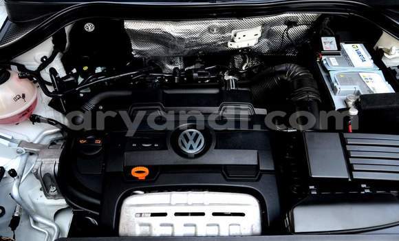 Tenga Tsaru Volkswagen Tiguan Chena Mota in Livingstone in Zambia Tenga Tsaru Volkswagen Tiguan Chena Mota in Livingstone in Zambia