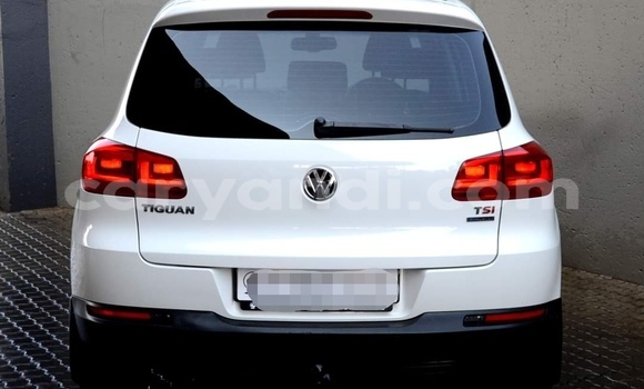 Tenga Tsaru Volkswagen Tiguan Chena Mota in Livingstone in Zambia Tenga Tsaru Volkswagen Tiguan Chena Mota in Livingstone in Zambia