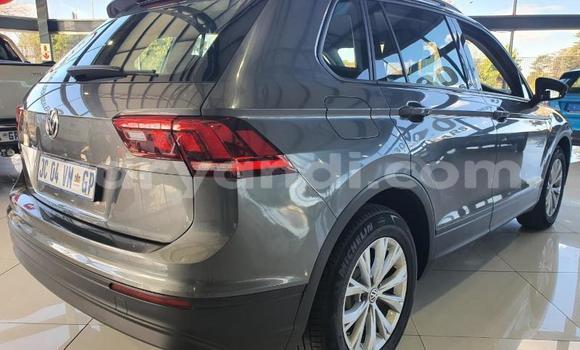 Tenga Tsaru Volkswagen Tiguan Sirivha Mota in Lusaka in Zambia Tenga Tsaru Volkswagen Tiguan Sirivha Mota in Lusaka in Zambia