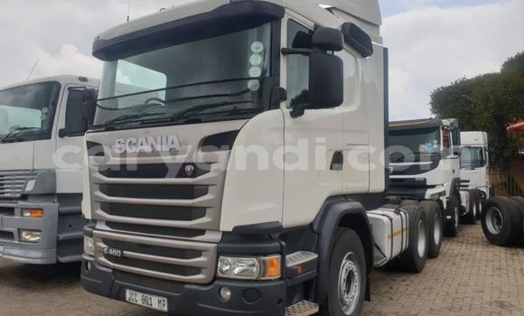 Buy Used Scania R420 White Truck in Lusaka in Zambia