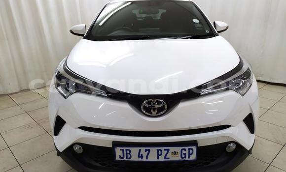 Buy Import Toyota C-HR White Car in Lusaka in Zambia