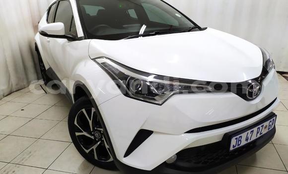 Tenga Imported Toyota C-HR Chena Mota in Lusaka in Zambia Tenga Imported Toyota C-HR Chena Mota in Lusaka in Zambia