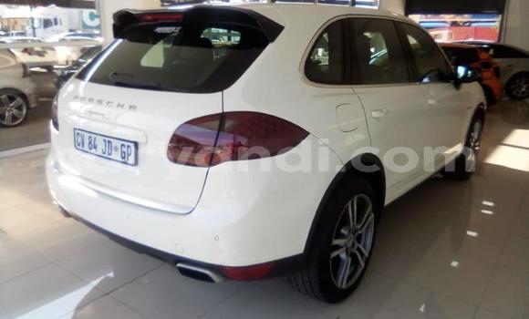 Tenga Tsaru Porsche Cayenne Chena Mota in Lusaka in Zambia Tenga Tsaru Porsche Cayenne Chena Mota in Lusaka in Zambia