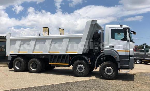 Acheter Occasion Utilitaire Mercedes–Benz Tipper Blanc à Mazabuka, Du sud Acheter Occasion Utilitaire Mercedes–Benz Tipper Blanc à Mazabuka, Du sud