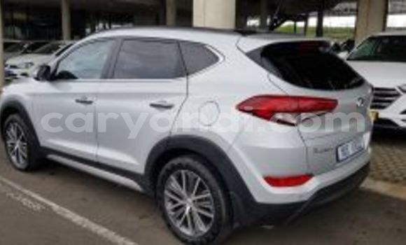 Tenga Tsaru Hyundai Tucson Sirivha Mota in Mufulira in Zambia Tenga Tsaru Hyundai Tucson Sirivha Mota in Mufulira in Zambia