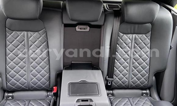 Tenga Tsaru Audi Q8 Sirivha Mota in Mufulira in Zambia Tenga Tsaru Audi Q8 Sirivha Mota in Mufulira in Zambia