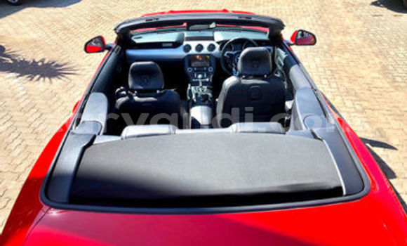 Tenga Tsaru Ford Mustang Tsvuku Mota in Mazabuka in Southern Tenga Tsaru Ford Mustang Tsvuku Mota in Mazabuka in Southern